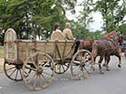 Heeresfeldwagen 1/1, Hf. 1/1, Pferdewagen, Anh&auml;nger, Kutsche, Pferdekutsche, Wehrmacht