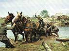 Pferd, Kavallerie, Heeresfeldwagen, Feldwagen, Reiter, Wehrmacht, historisches Farbfoto, Originalaufnahme